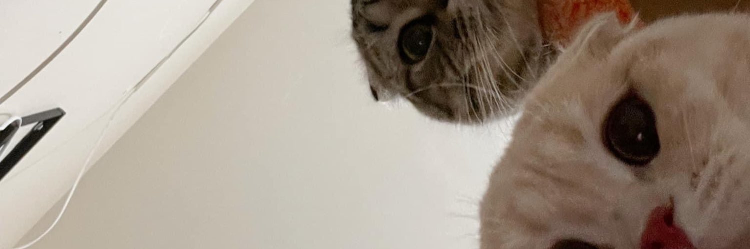 vandasuay's profile banner image
