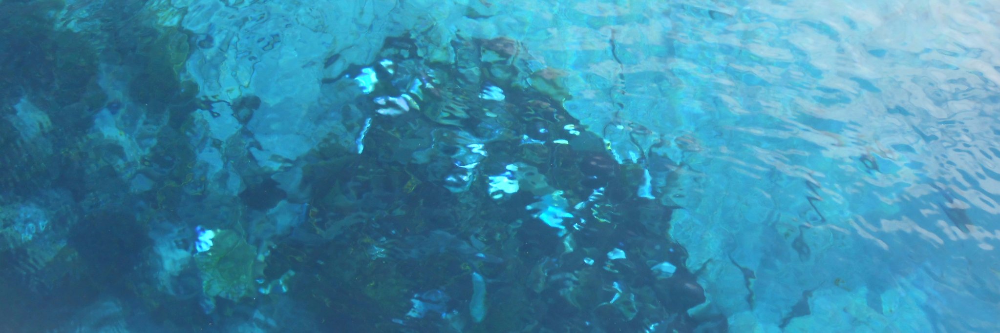 İrşad Tuncel banner