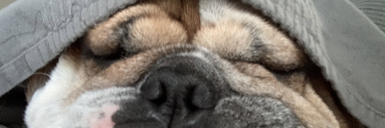 Mr_McCann4's profile banner image
