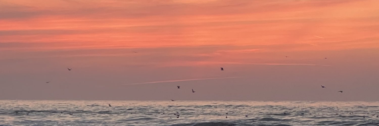 salomealbert_'s profile banner image