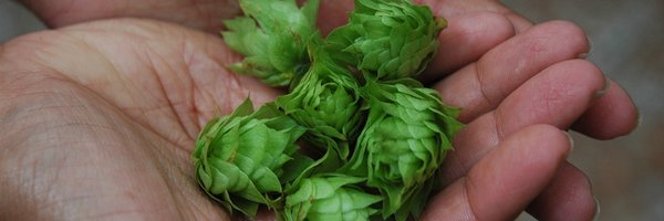 ThankGodForHops Profile Banner