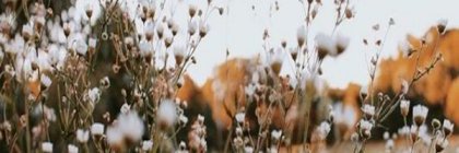 abrilamelieee's profile banner image
