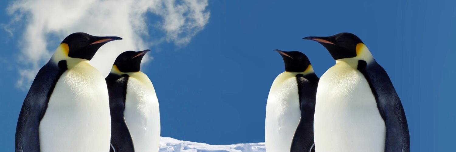 Money_Action's profile banner image