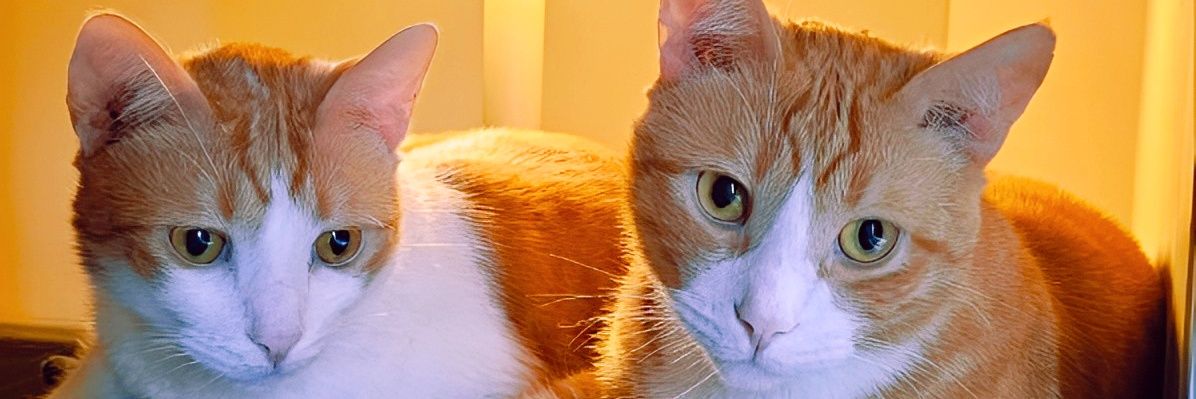 deiviit89's profile banner image