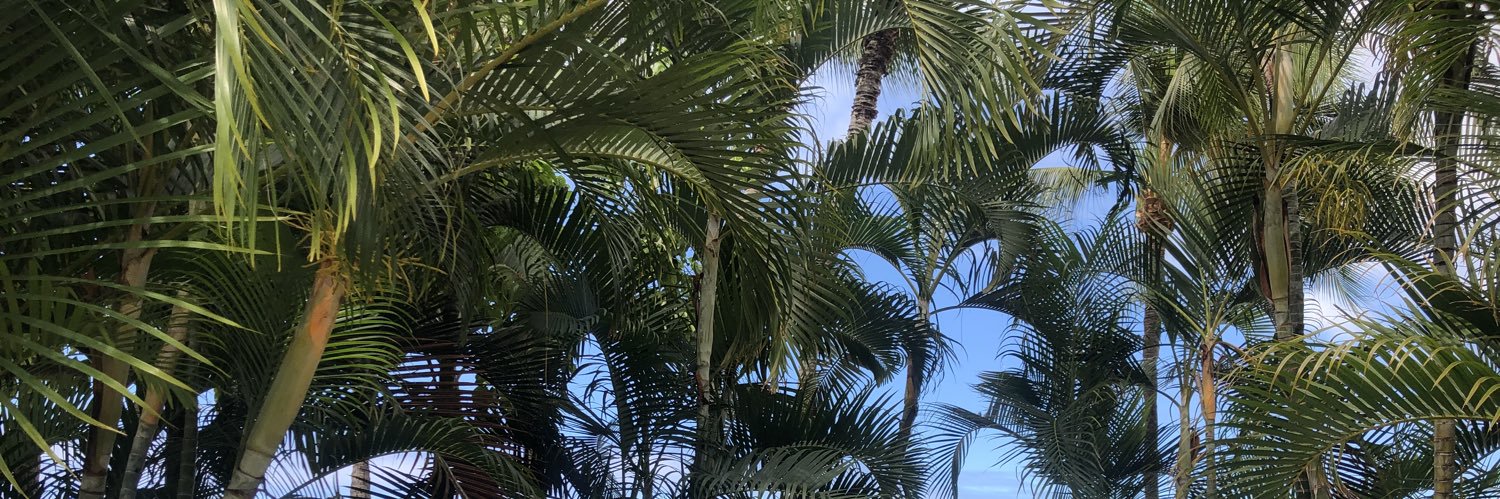 bbyfrausto's profile banner image