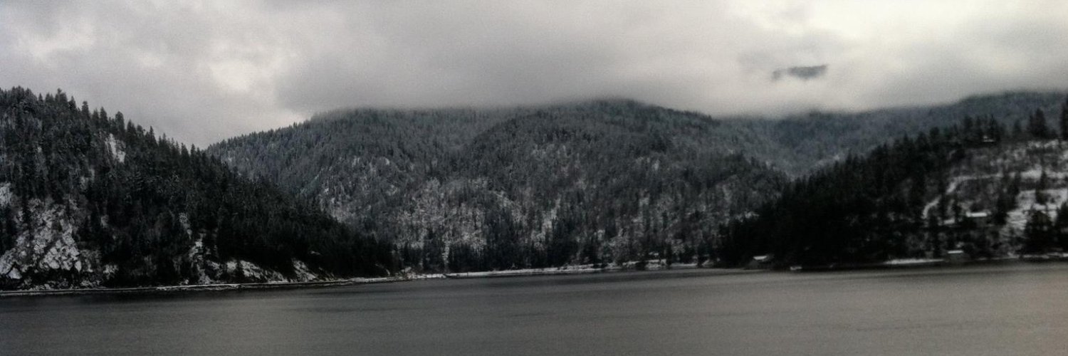 Elizabeth Scrafford banner