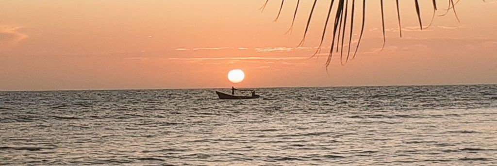 PROYECTOPECC's profile banner image