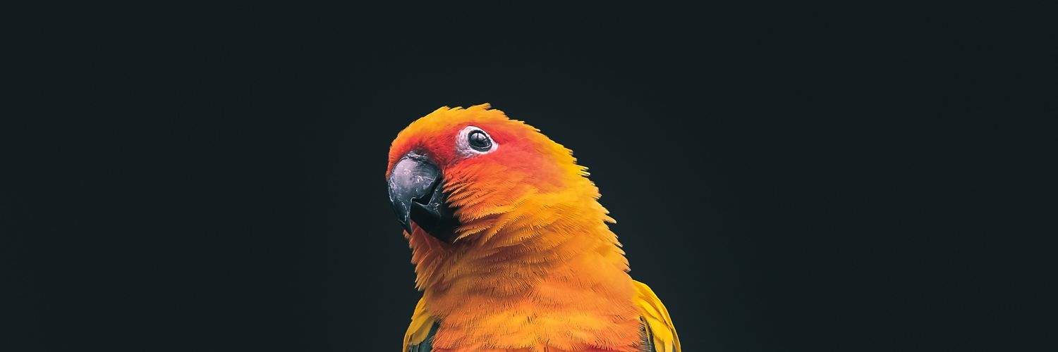 Ezafrs's profile banner image
