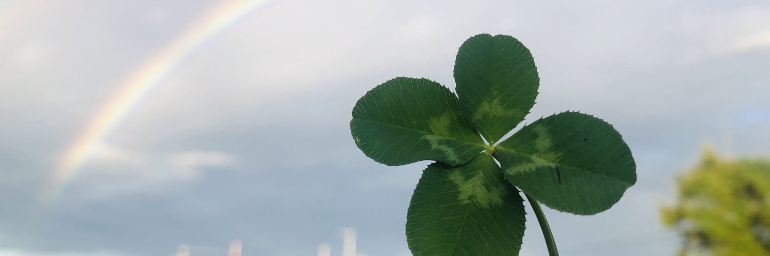 Esh7312's profile banner image