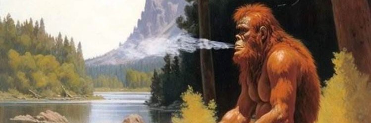 sashalexanderer's profile banner image