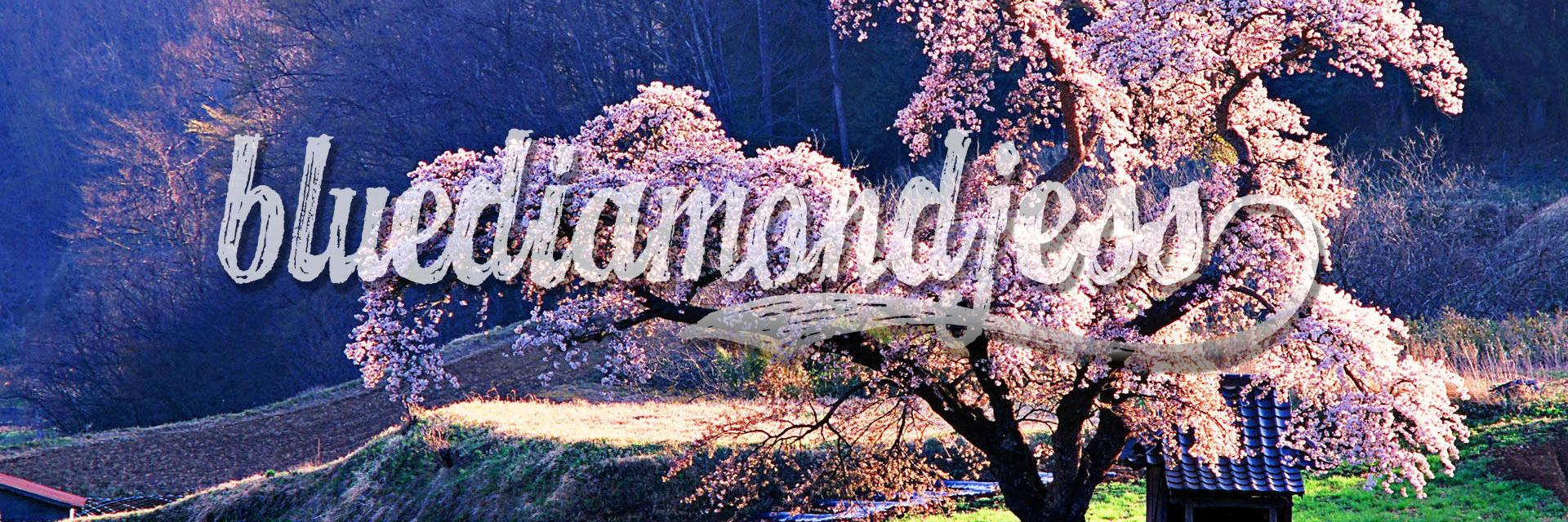 BlueDiamondJess's profile banner image
