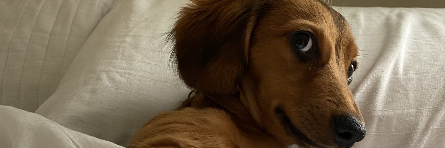 idaaalmis's profile banner image