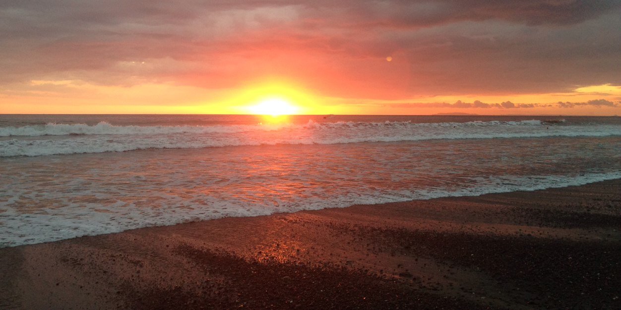 Scott Bernstein banner