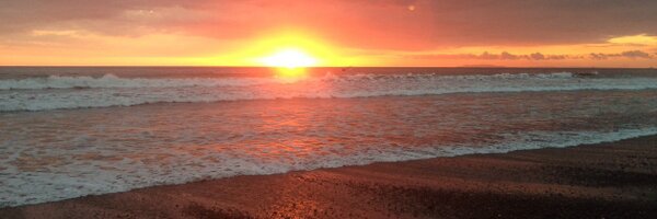 scott_bernstein Profile Banner