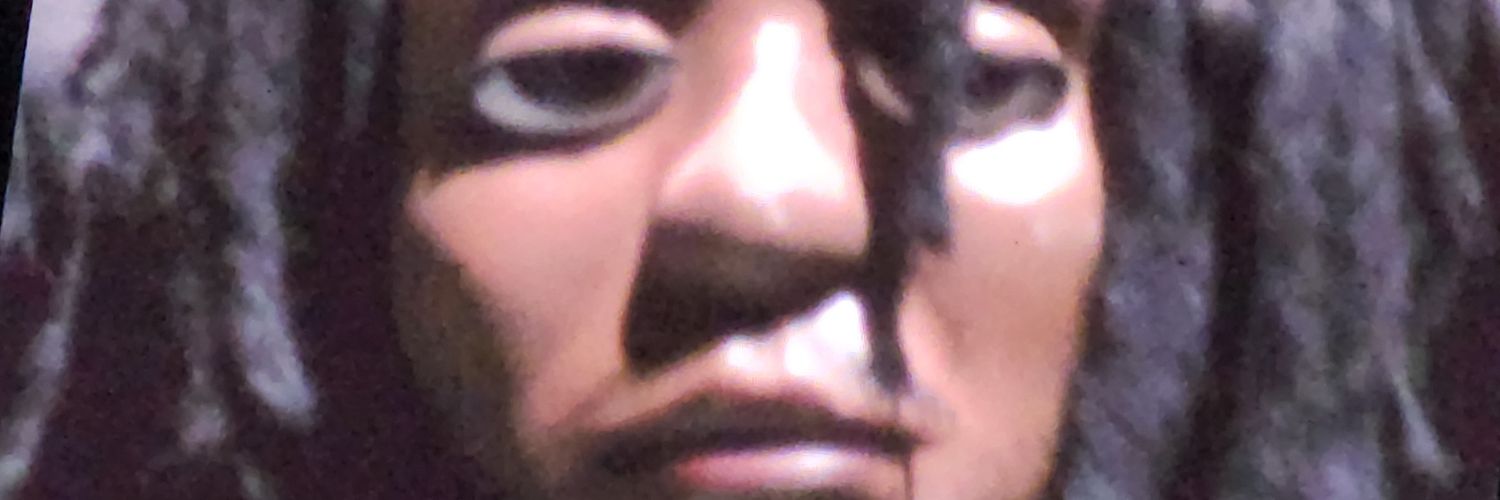 Professional Hater banner