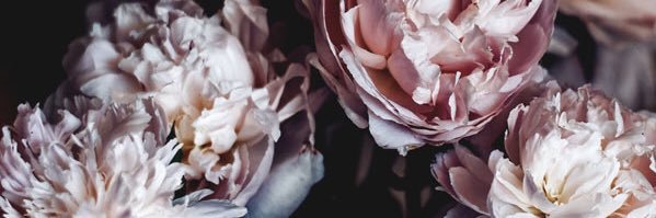 elightfull's profile banner image