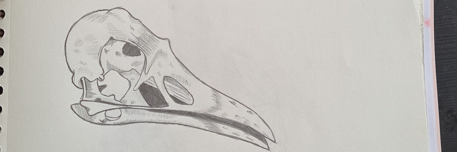 Akira_Vermi's profile banner image