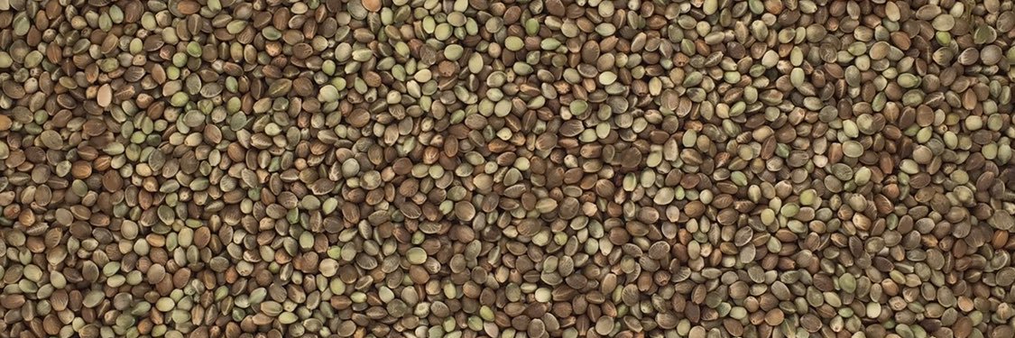 MileHighHemp's profile banner image