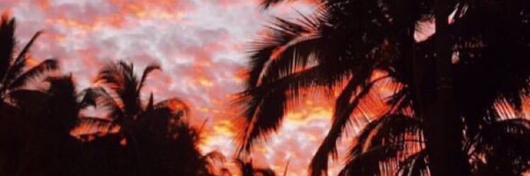 kozerova_'s profile banner image