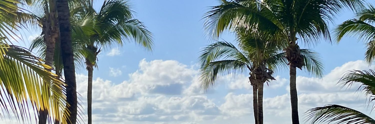 carlap128's profile banner image