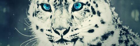 J_lessard10's profile banner image