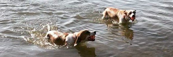 ShandelleMarie Profile Banner