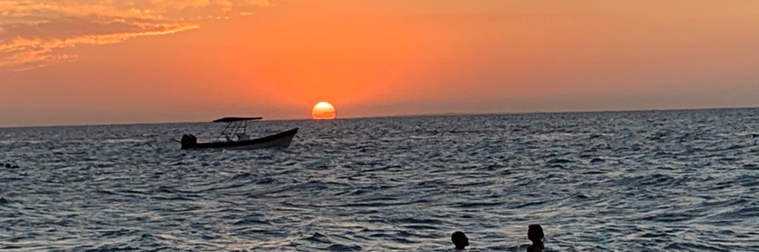 VaneSaladent's profile banner image