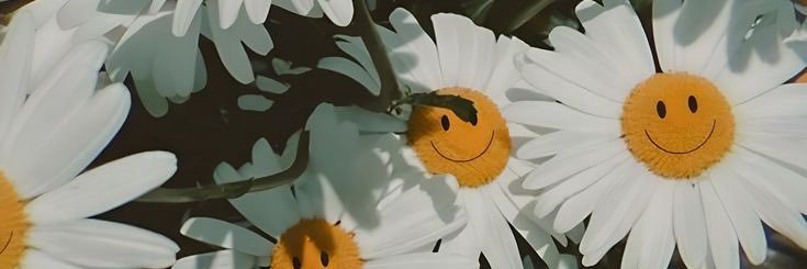 ilaydaeeser's profile banner image