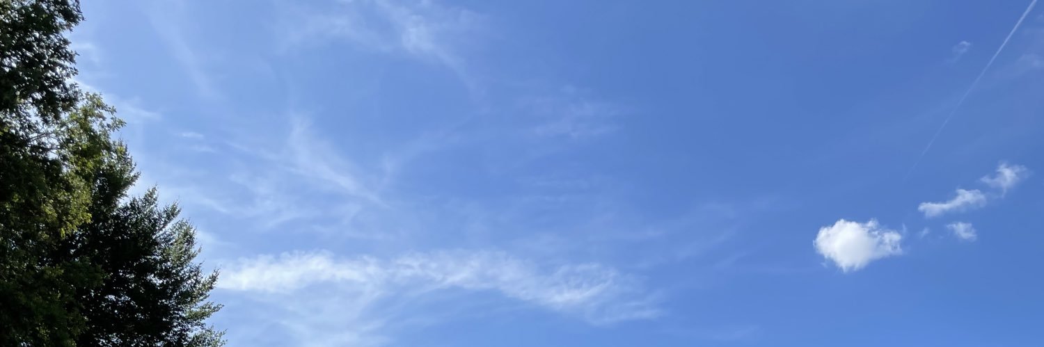borzoo_s's profile banner image