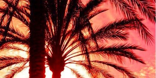 PostBad_Latinos's profile banner image