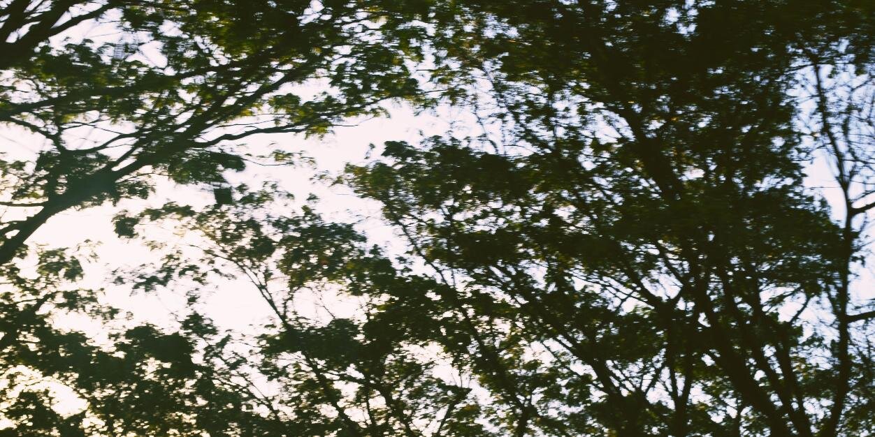 OhFleur_'s profile banner image