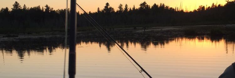 dpaulson1717's profile banner image