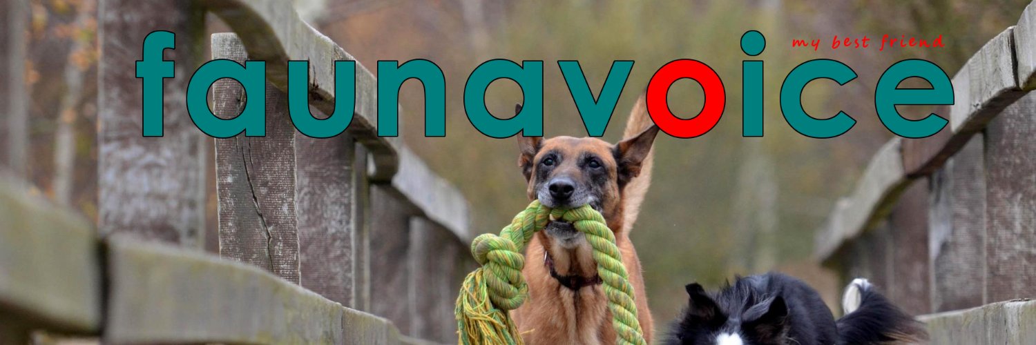 faunapool's profile banner image