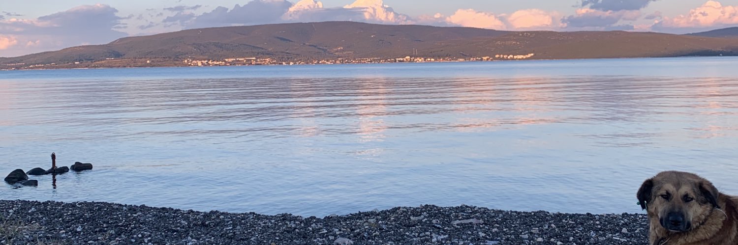 iardatuna's profile banner image