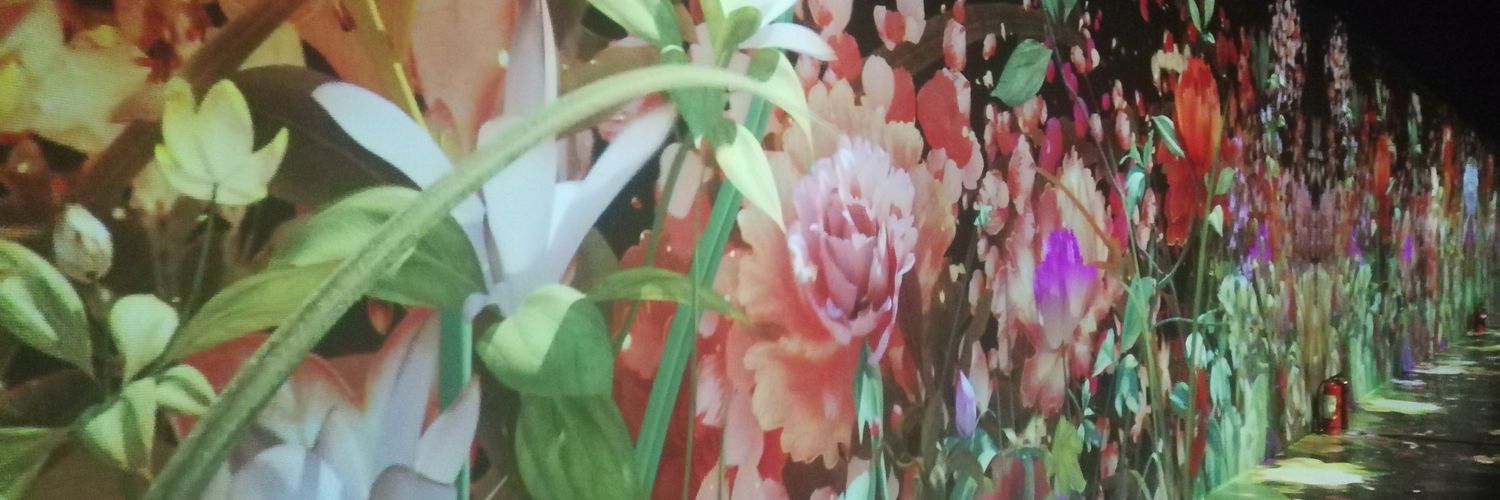 Petaldreamlife's profile banner image