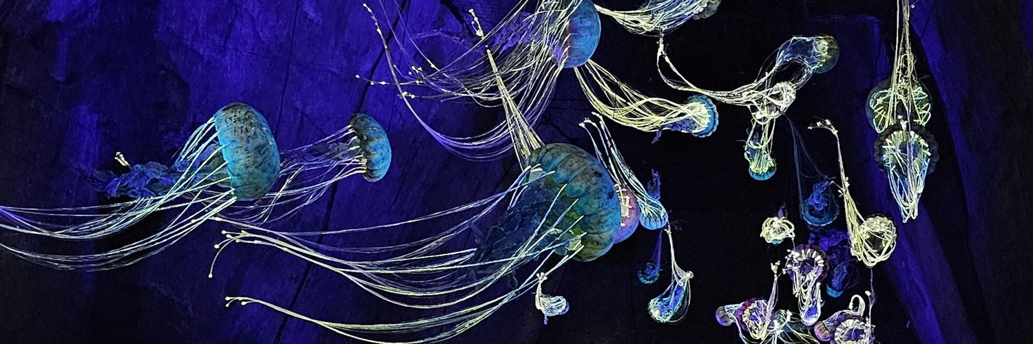 oceaneqllt's profile banner image