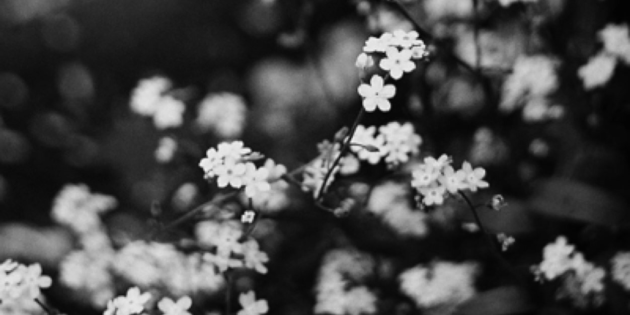 MileyRoseHS's profile banner image
