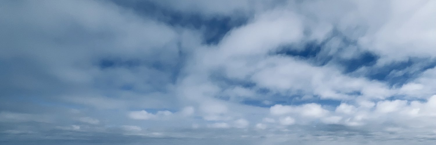 IlaTuller's profile banner image
