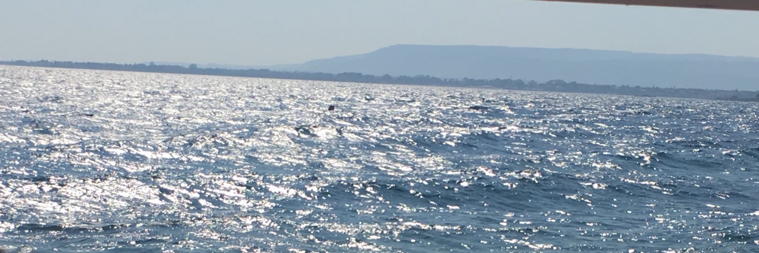 AlessiaDragoni's profile banner image