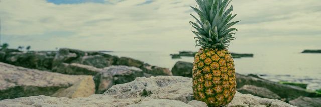 PineappleFundMe's profile banner image