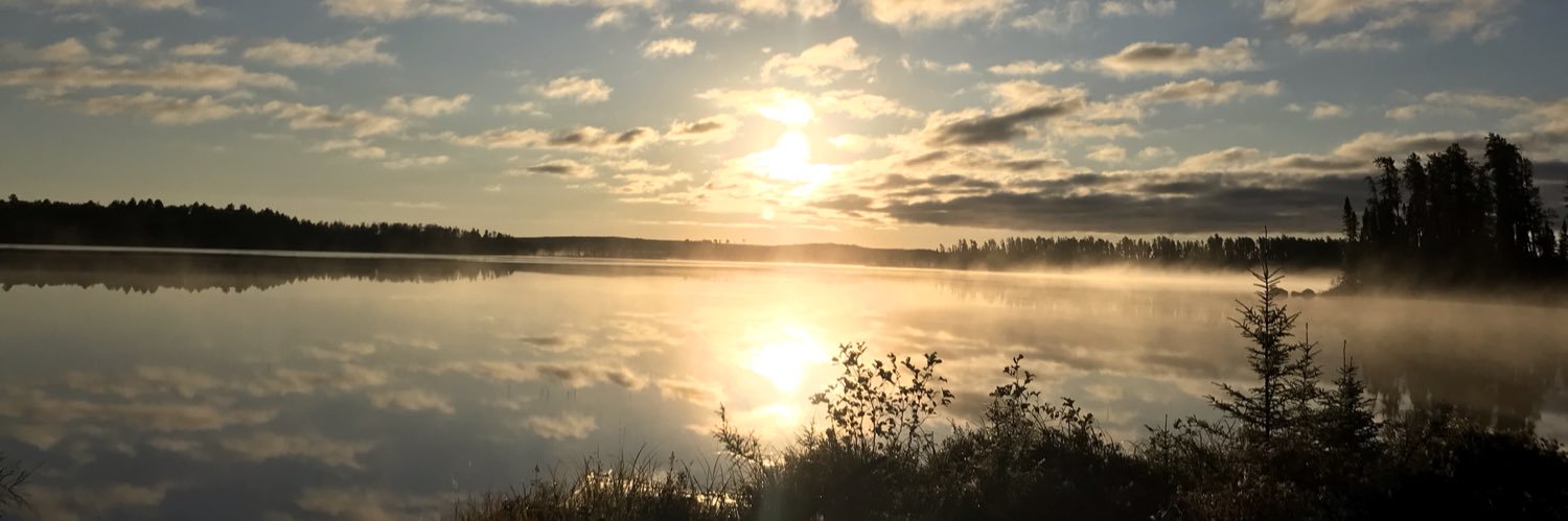 LindyWaboose's profile banner image
