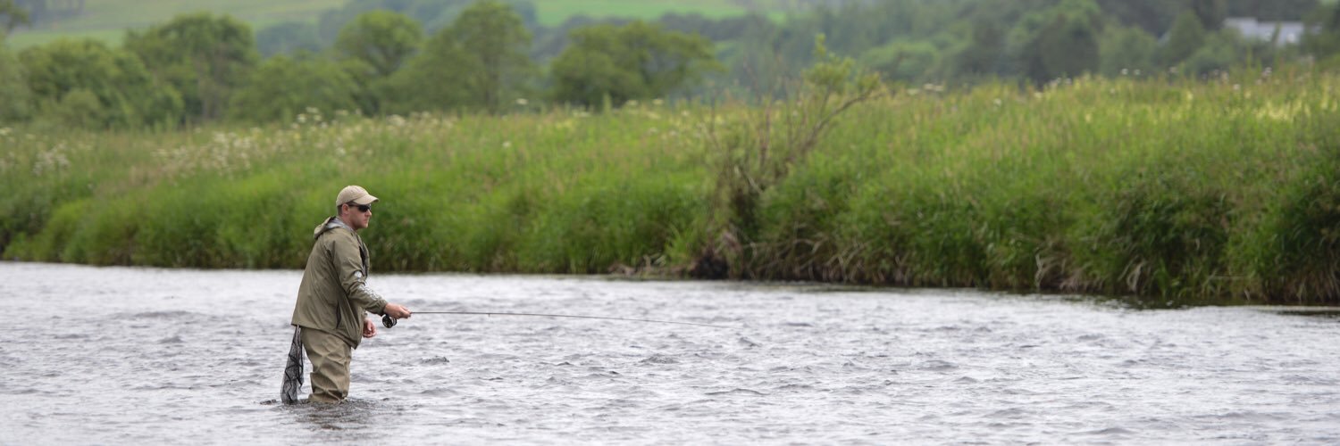 FishnIntrovert's profile banner image