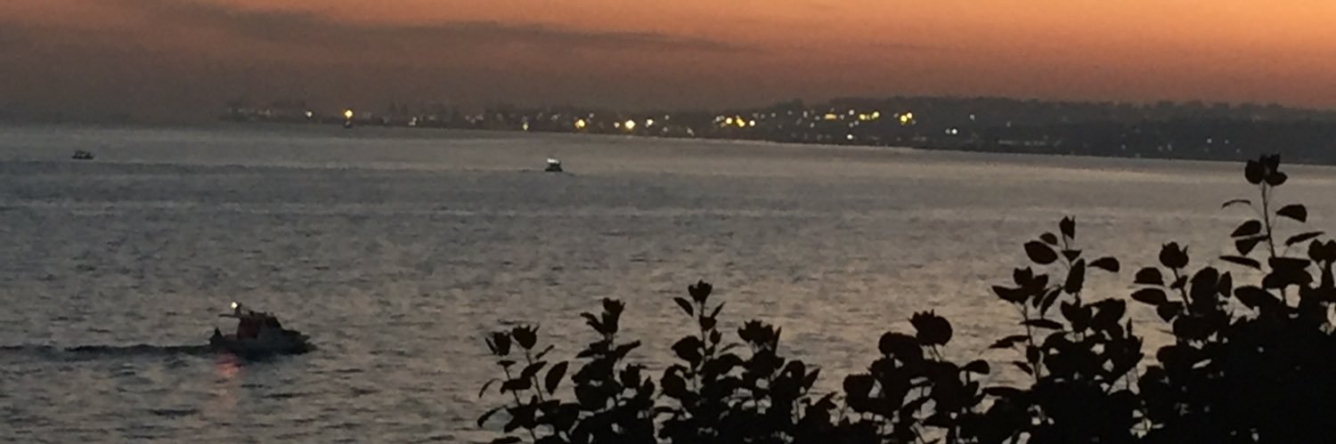 Elifayan78Elif's profile banner image