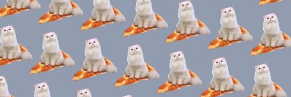 dimitrov_1's profile banner image