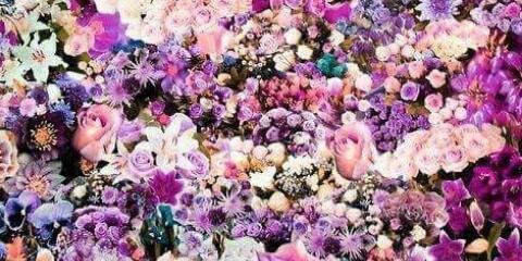 Karen4698's profile banner image