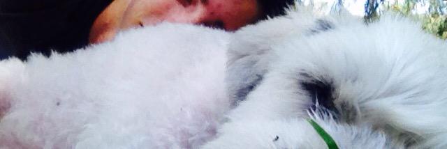 NickASchram's profile banner image