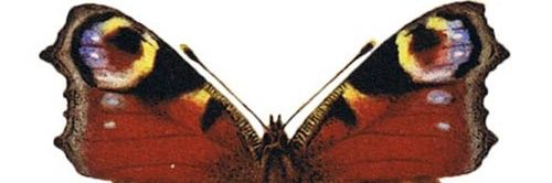 kitariu's profile banner image