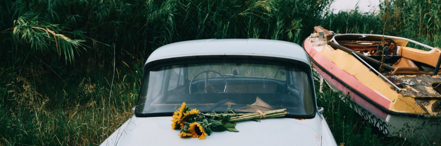 sunflowervol1d's profile banner image