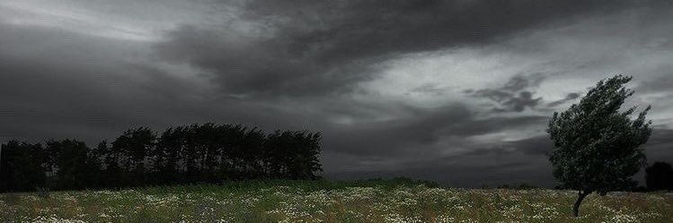 ecmgb9's profile banner image