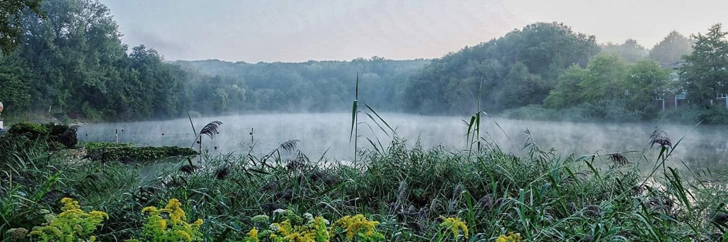 Altluenen's profile banner image